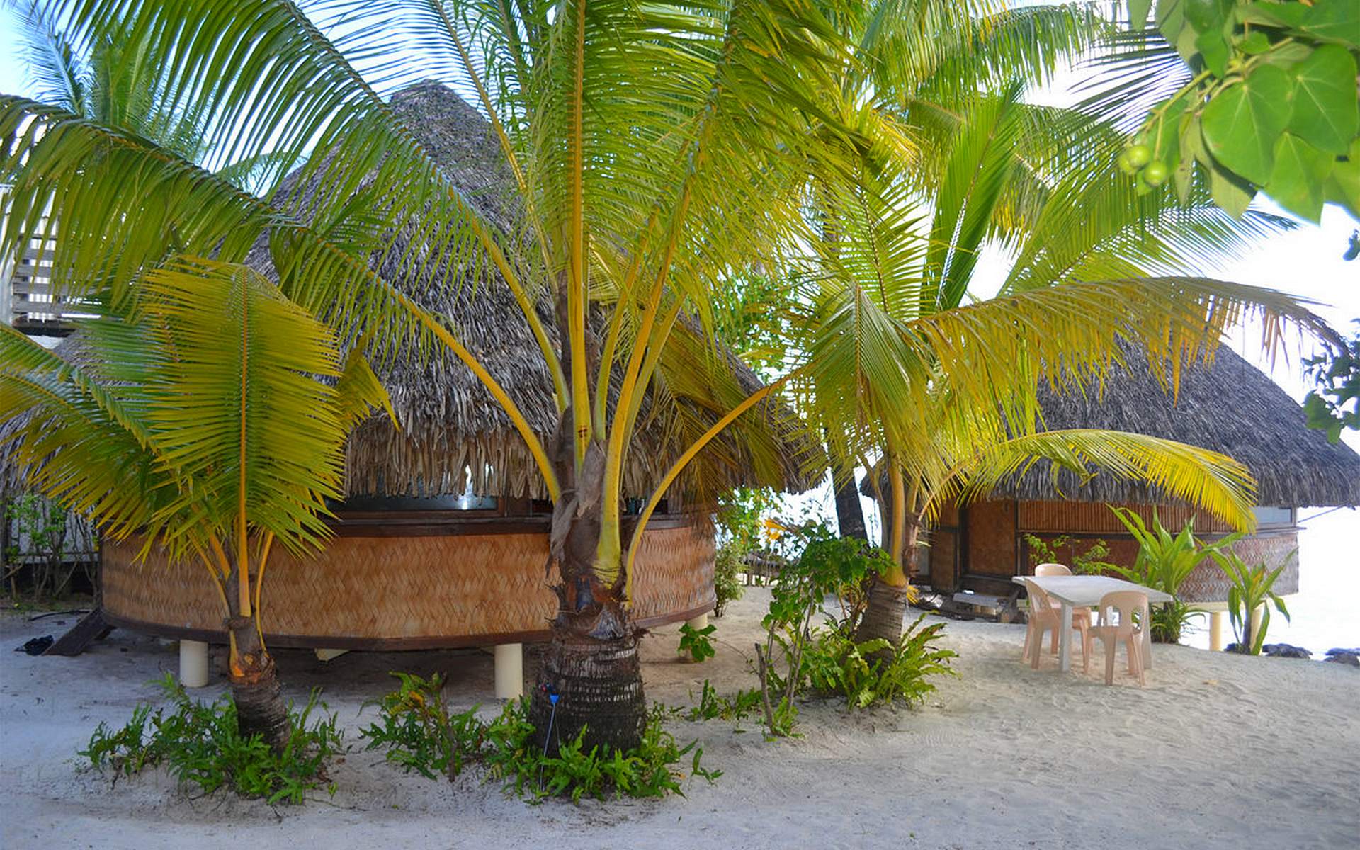 Bora Bora lodge bungalow jardin